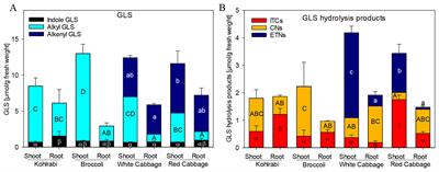 Identification and Characterization of Three Epithiospecifier Protein Isoforms in Brassica oleracea